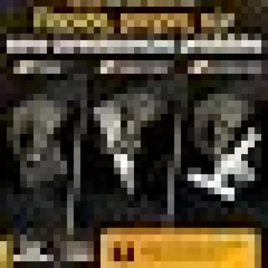 51W0VYUtxwL._AC_US40_