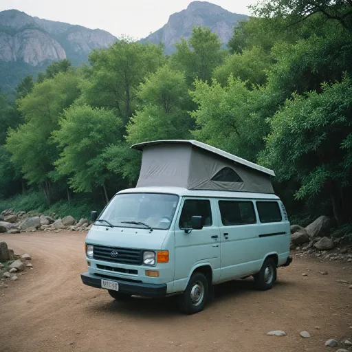 Comment bien choisir un van 2 places d’occasion pour vos besoins