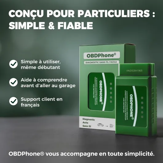 81z7PaGbhOL._AC_SL1500_