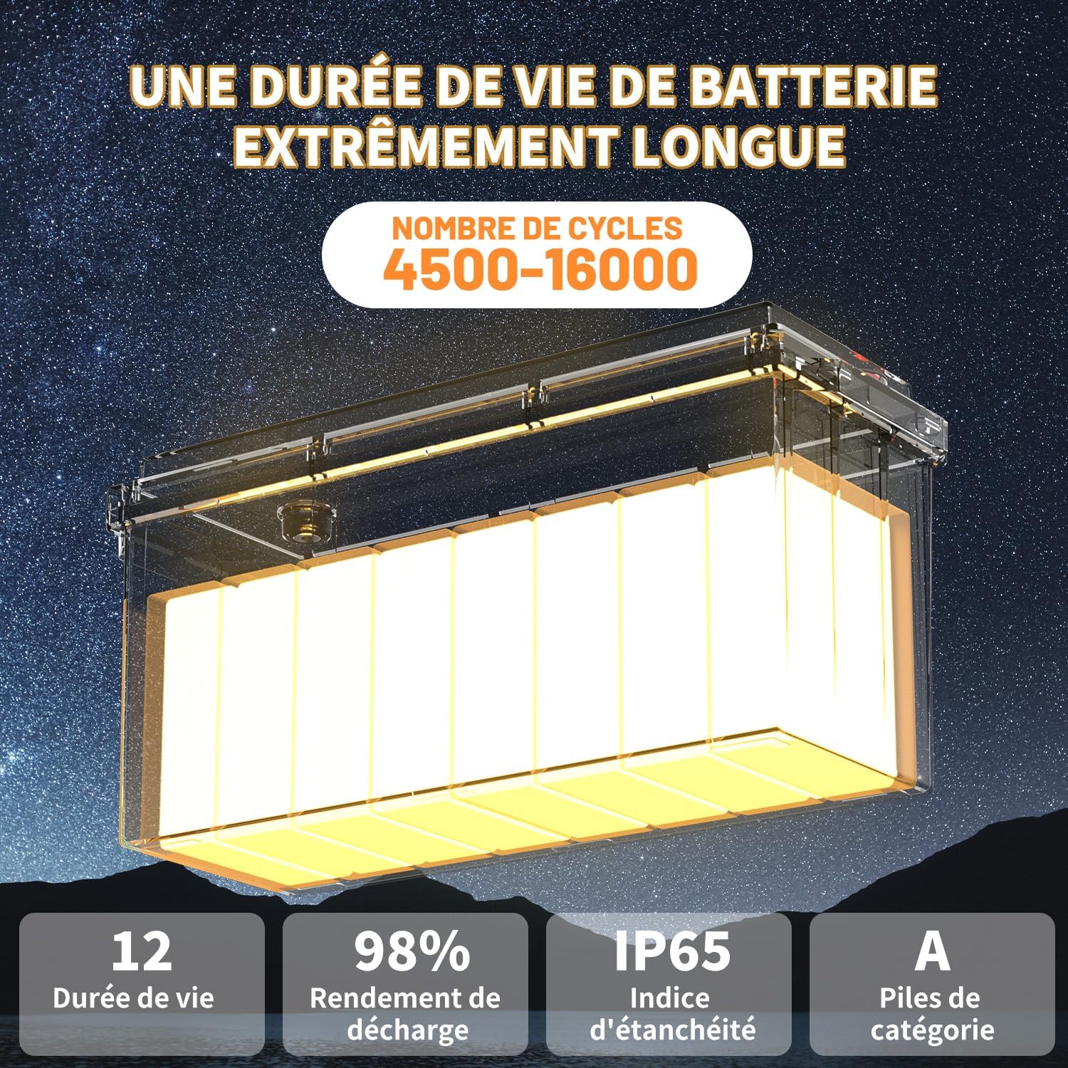 Batterie Lithium 12V 200Ah LiFePO4 avec BMS 200A IP65 et Protection Basse Température pour Camping-Car Bateau Système Solaire Hors Réseau