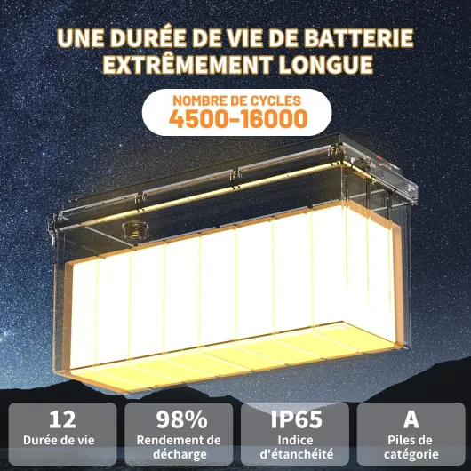 Batterie Lithium 12V 200Ah LiFePO4 avec BMS 200A IP65 et Protection Basse Température pour Camping-Car Bateau Système Solaire Hors Réseau